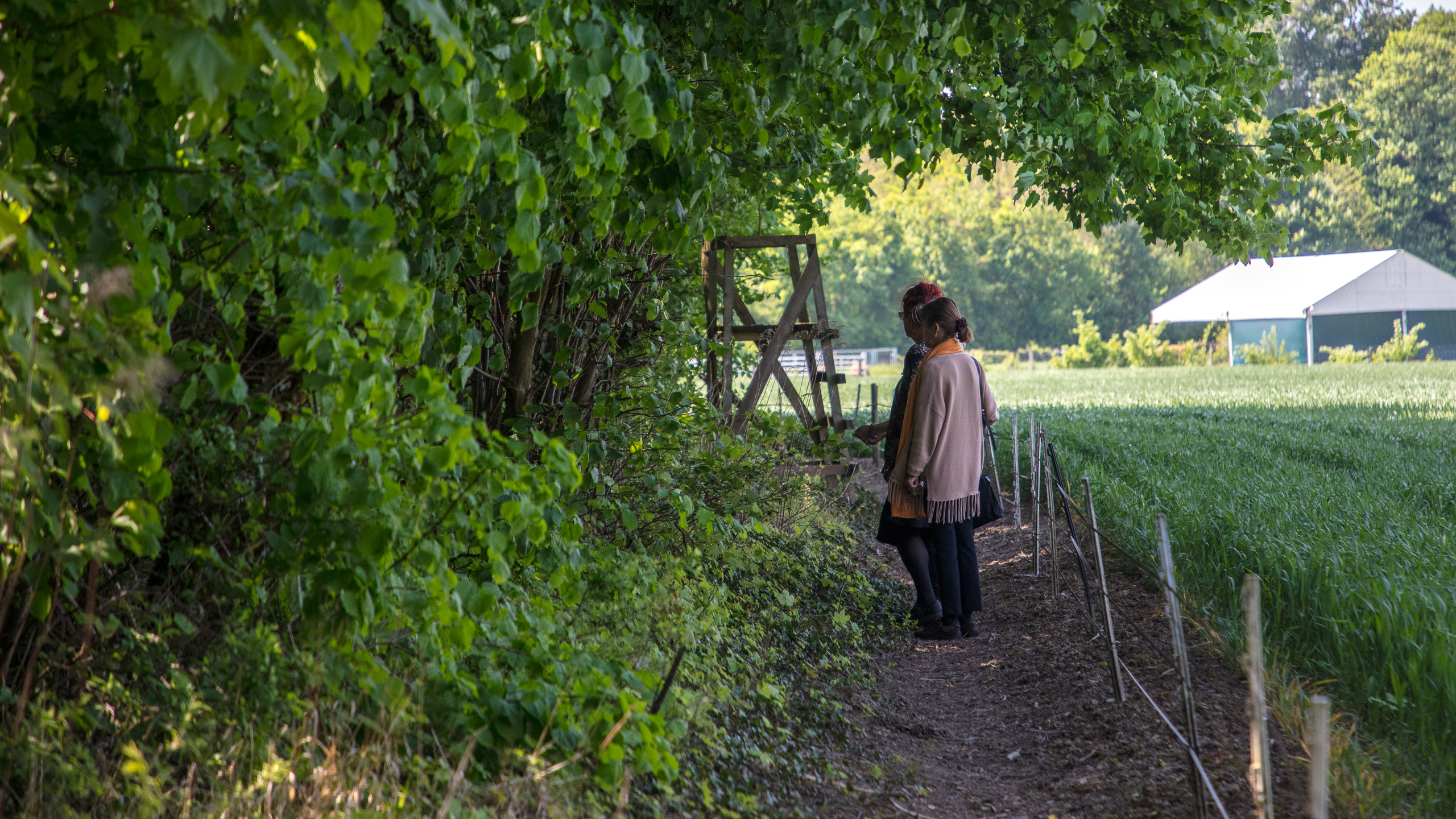 20220508124301 DP017529